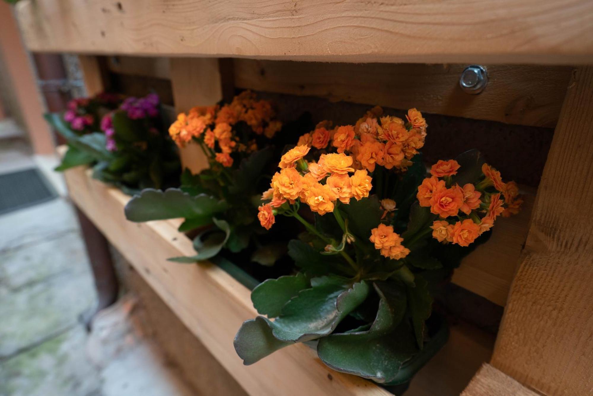 Casa Mirto 호텔 보사 외부 사진